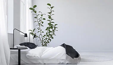 Photo of an extremely minimalist bedroom, done predominantly in whites. The wall is white, a round white rug is at the foot of the bed in white linens. There is an architectural nightstand in a charcoal color on each side of the bed, with reading lamps in the same anthracite color. Two windows are decorated with white, airy drapes and the white bed has a charcoal colored throw at its foot to match the nightstands and lamps. A large rubber tree is the only other decorative element in the room.
