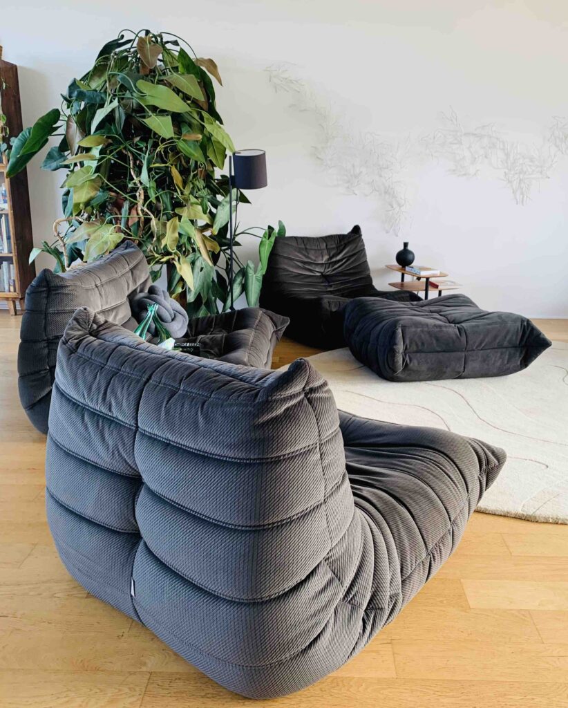 Modern living room with dark grey Togo couch and lounge chairs from Ligne Roset and a huge green plant: a philodendron domesticum.