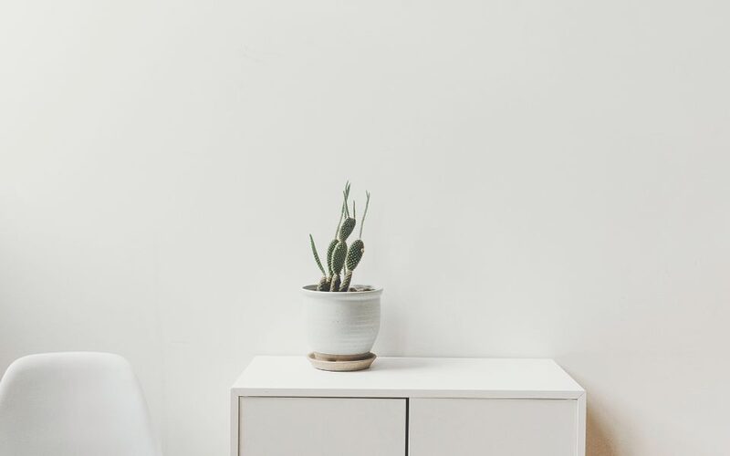 A white room with a white Eames chair to the left of a white container unit, on the top of which is a cactus in a white pot. Photo by Liana Mikah on Unsplash.