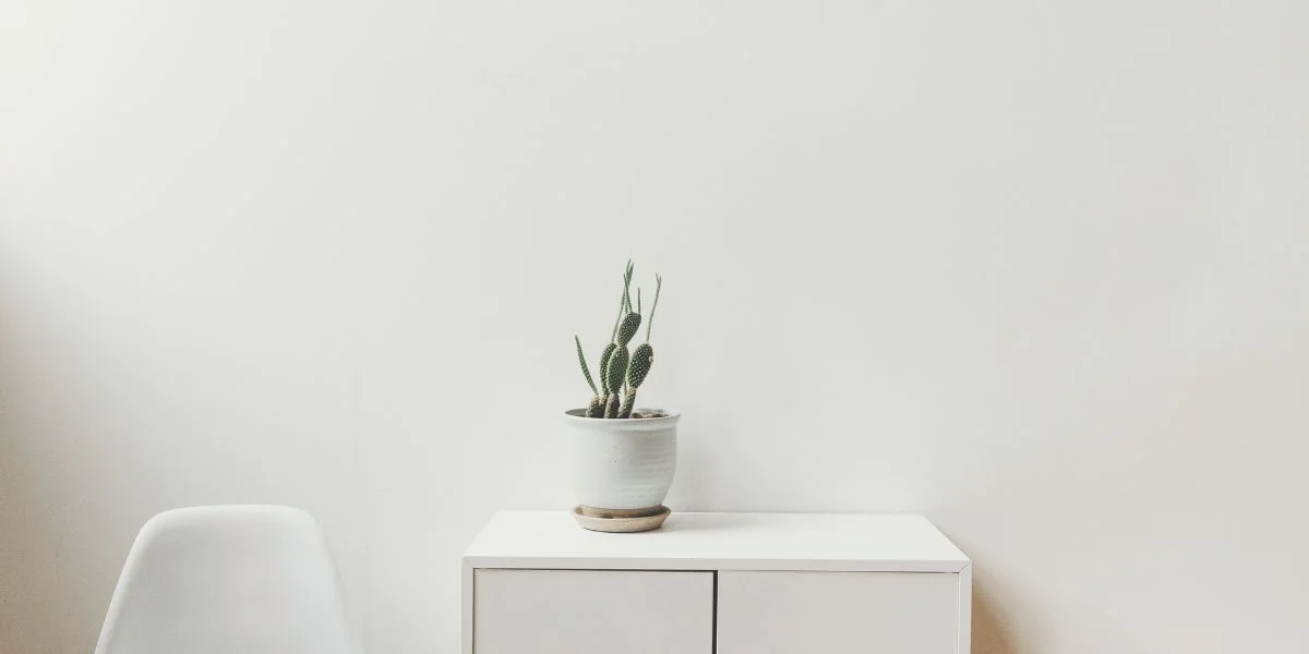 A white room with a white Eames chair to the left of a white container unit, on the top of which is a cactus in a white pot. Photo by Liana Mikah on Unsplash.