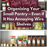 Image of a small pantry with neatly organized foodstuffs and dried staples.