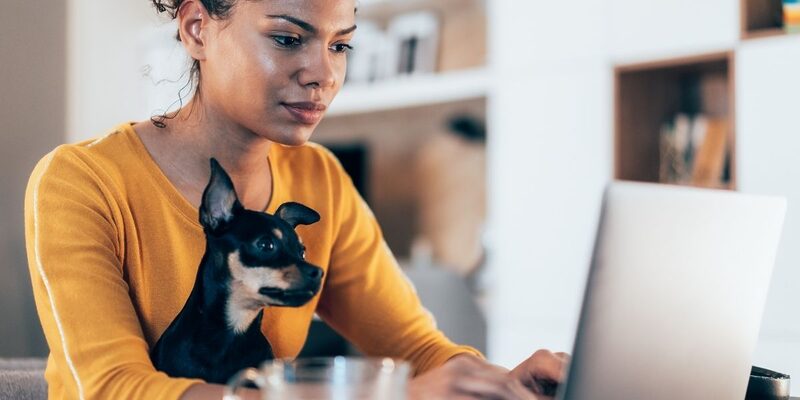 Woman working from home with a small dog on her lap.