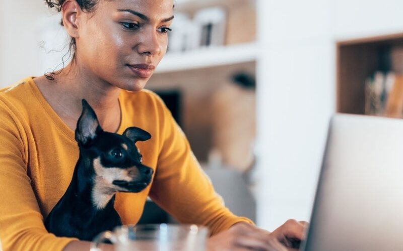 Woman working from home with a small dog on her lap.