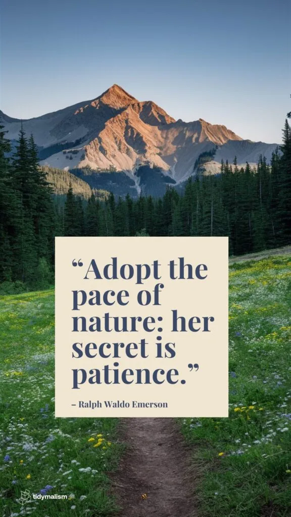 Simple life quotes