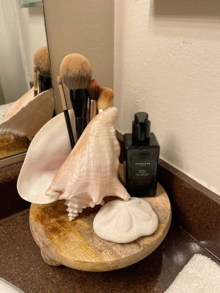 Store Brushes Standing Up